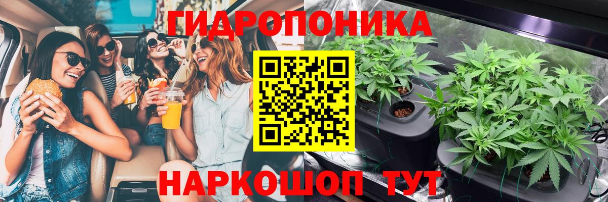 Марихуана гибрид Балабаново